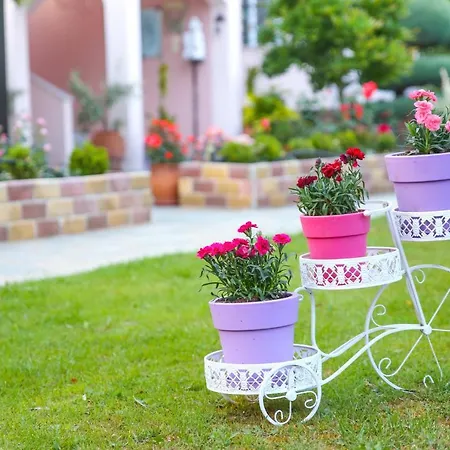 Edem Garden アパート