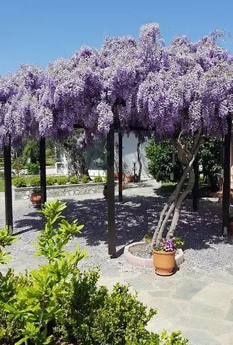 Edem Garden Appartement